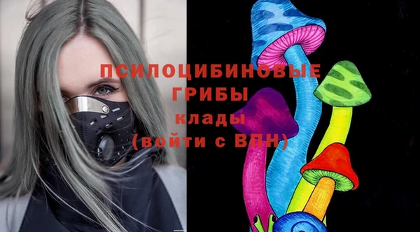 ECSTASY Ижевск