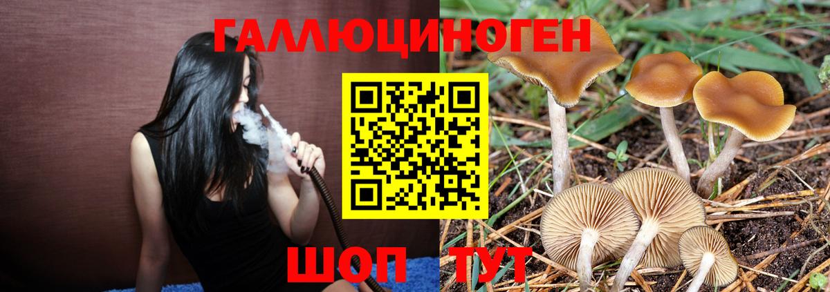 Галлюциногенные грибы GOLDEN TEACHER  Спасск-Дальний  дарнет шоп  Галлюциногенные грибы MAGIC MUSHROOMS 