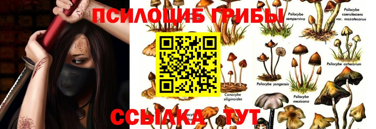 где можно купить наркотик  Вход с VPN  Псилоцибиновые грибы MAGIC MUSHROOMS  Спасск-Дальний  Галлюциногенные грибы GOLDEN TEACHER 